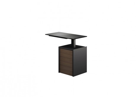 Jane Executive Table (Height-Adjustable Auxiliary Cabinet)