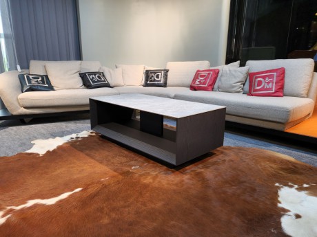 F1206 Coffee Table