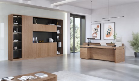 NEW CEO Back Cabinet