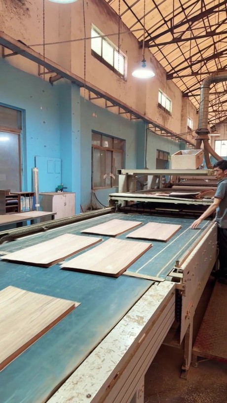 Automated machine for veneer application