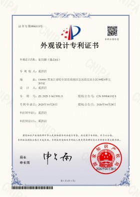 家具脚（臻品E2）外观专利
